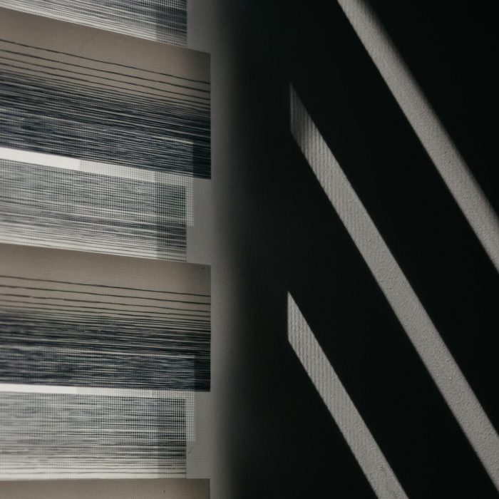 pexels-lgorincioi-8955198